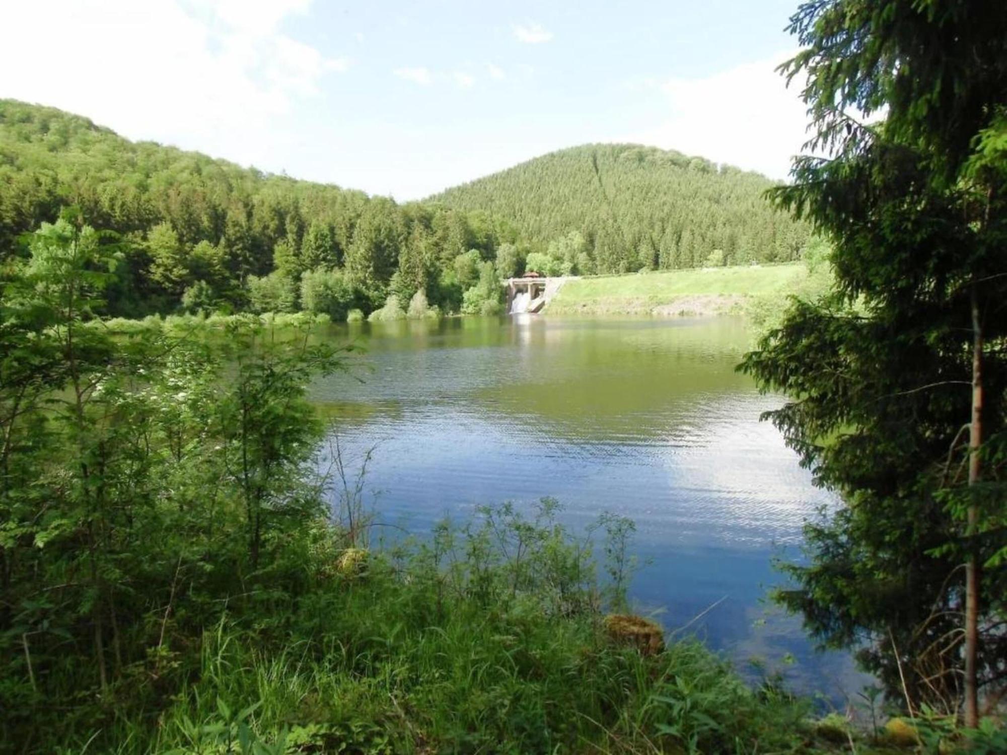 Detached Holiday Residence In The Wonderfully Beautiful Harz Kamschlacken Kültér fotó